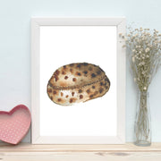 Quadro Decorativo MDF Emoldurado - Arte Multicolor 24x29cm com Moldura de Madeira 2cm