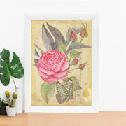 Quadro Decorativo MDF Emoldurado - Arte Multicolor 24x29cm com Moldura de Madeira 2cm