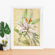 Quadro Decorativo MDF Emoldurado - Arte Multicolor 24x29cm com Moldura de Madeira 2cm