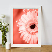 Quadro Decorativo MDF Emoldurado - Arte Multicolor 24x29cm com Moldura de Madeira 2cm