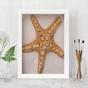 Quadro Decorativo MDF Emoldurado - Arte Multicolor 24x29cm com Moldura de Madeira 2cm