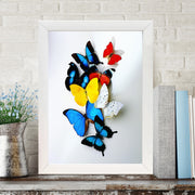 Quadro Decorativo MDF Emoldurado - Arte Multicolor 24x29cm com Moldura de Madeira 2cm