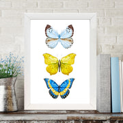 Quadro Decorativo MDF Emoldurado - Arte Multicolor 24x29cm com Moldura de Madeira 2cm