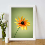 Quadro Decorativo MDF Emoldurado - Arte Multicolor 24x29cm com Moldura de Madeira 2cm