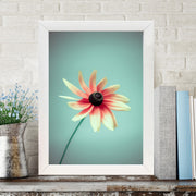 Quadro Decorativo MDF Emoldurado - Arte Multicolor 24x29cm com Moldura de Madeira 2cm