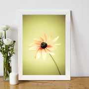 Quadro Decorativo MDF Emoldurado - Arte Multicolor 24x29cm com Moldura de Madeira 2cm