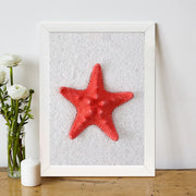 Quadro Decorativo MDF Emoldurado - Arte Multicolor 24x29cm com Moldura de Madeira 2cm