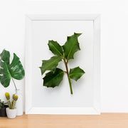 Quadro Decorativo MDF Emoldurado - Arte Multicolor 24x29cm com Moldura de Madeira 2cm