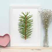 Quadro Decorativo MDF Emoldurado - Arte Multicolor 24x29cm com Moldura de Madeira 2cm