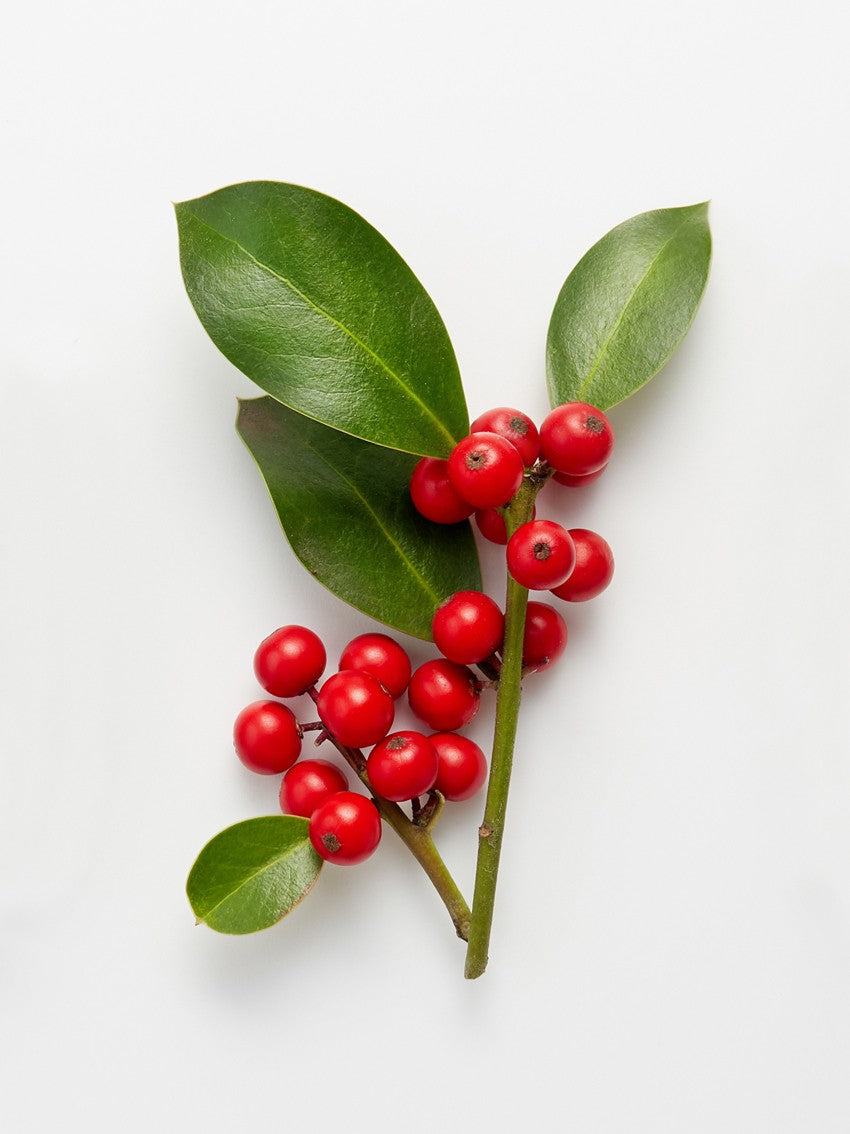 Quadro Decorativo MDF Emoldurado - Arte Multicolor 24x29cm com Moldura de Madeira 2cm