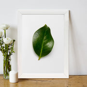 Quadro Decorativo MDF Emoldurado - Arte Multicolor 24x29cm com Moldura de Madeira 2cm