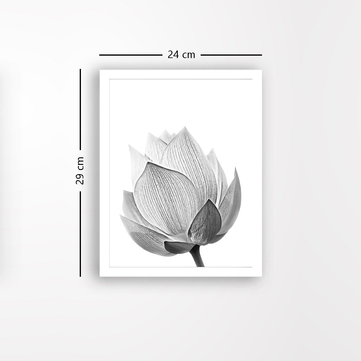 Quadro Decorativo MDF Emoldurado - Arte Multicolor 24x29cm com Moldura de Madeira 2cm