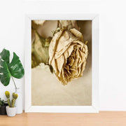 Quadro Decorativo MDF Emoldurado - Arte Multicolor 24x29cm com Moldura de Madeira 2cm