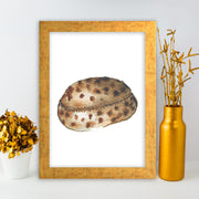 Quadro Decorativo MDF Emoldurado - Arte Multicolor 24x29cm com Moldura de Madeira 2cm