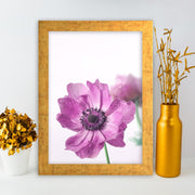 Quadro Decorativo MDF Emoldurado - Arte Multicolor 24x29cm com Moldura de Madeira 2cm