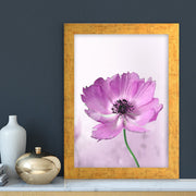 Quadro Decorativo MDF Emoldurado - Arte Multicolor 24x29cm com Moldura de Madeira 2cm