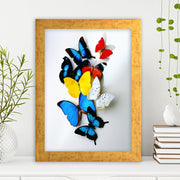 Quadro Decorativo MDF Emoldurado - Arte Multicolor 24x29cm com Moldura de Madeira 2cm