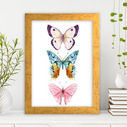 Quadro Decorativo MDF Emoldurado - Arte Multicolor 24x29cm com Moldura de Madeira 2cm