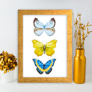 Quadro Decorativo MDF Emoldurado - Arte Multicolor 24x29cm com Moldura de Madeira 2cm