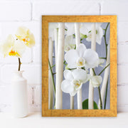 Quadro Decorativo MDF Emoldurado - Arte Multicolor 24x29cm com Moldura de Madeira 2cm