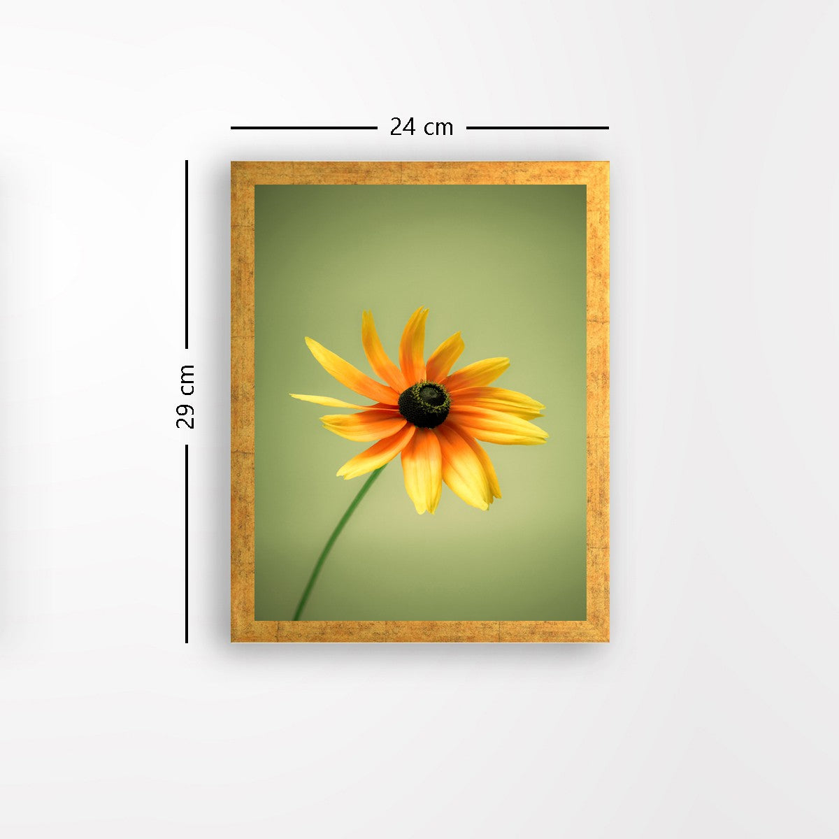 Quadro Decorativo MDF Emoldurado - Arte Multicolor 24x29cm com Moldura de Madeira 2cm