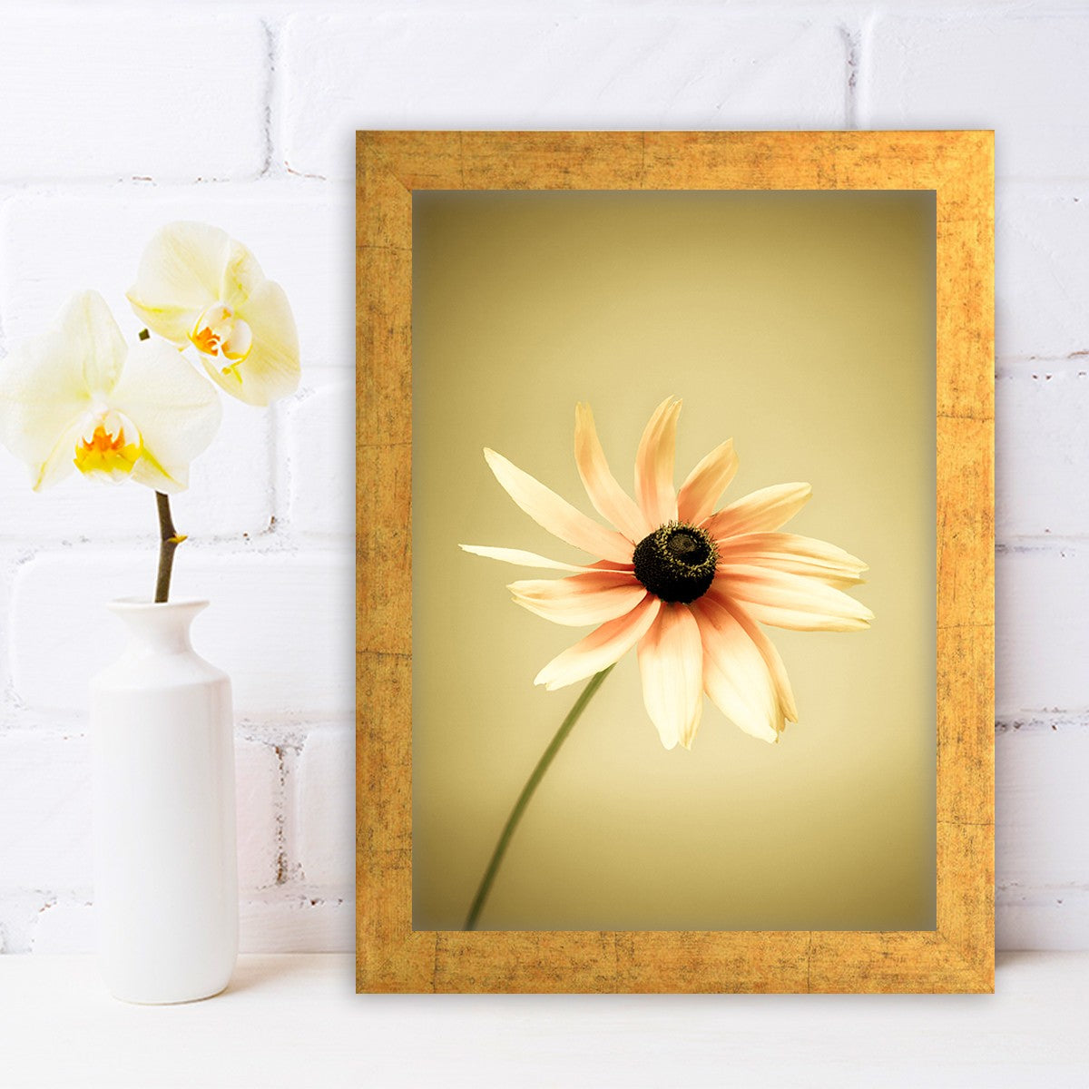 Quadro Decorativo MDF Emoldurado - Arte Multicolor 24x29cm com Moldura de Madeira 2cm