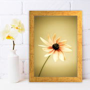 Quadro Decorativo MDF Emoldurado - Arte Multicolor 24x29cm com Moldura de Madeira 2cm