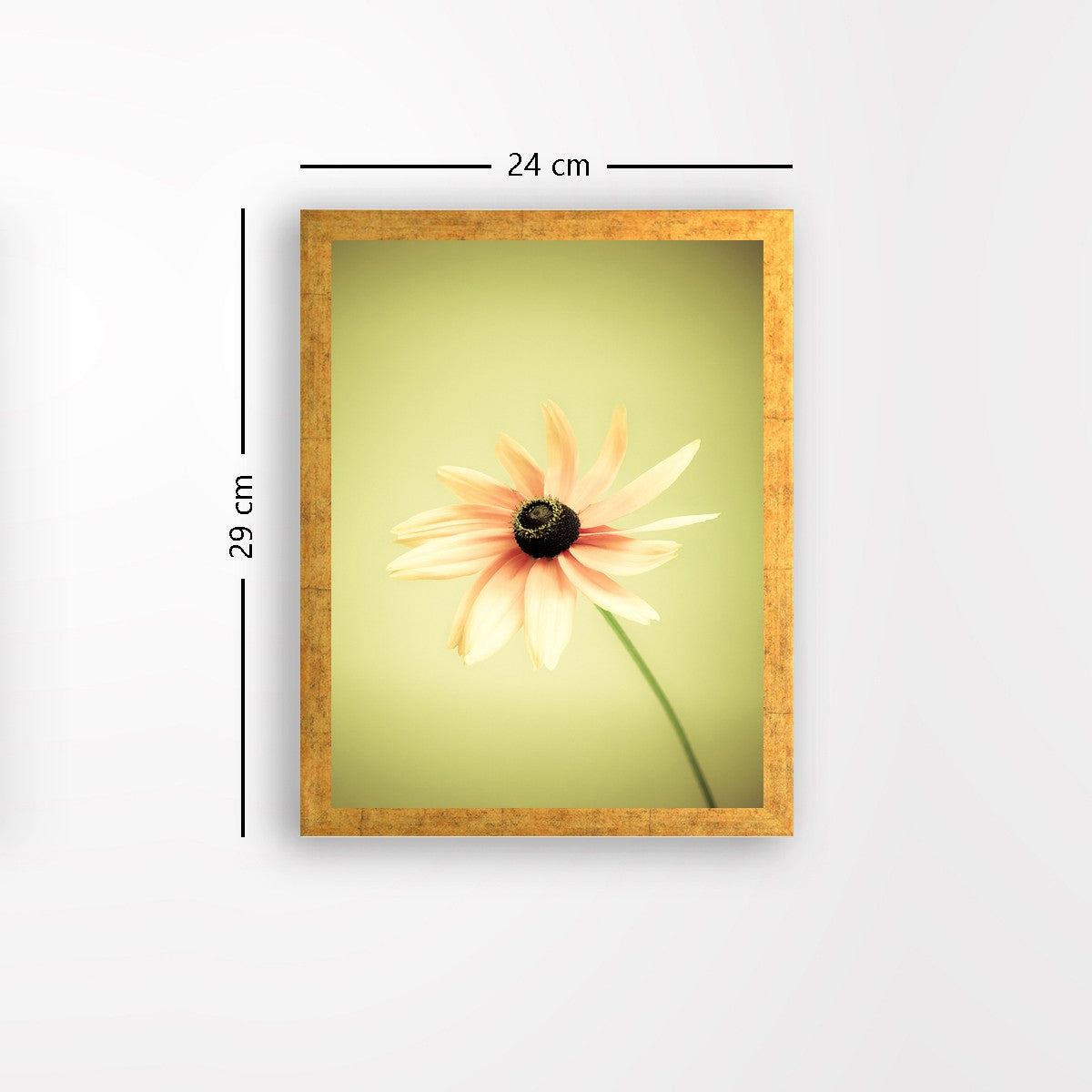 Quadro Decorativo MDF Emoldurado - Arte Multicolor 24x29cm com Moldura de Madeira 2cm