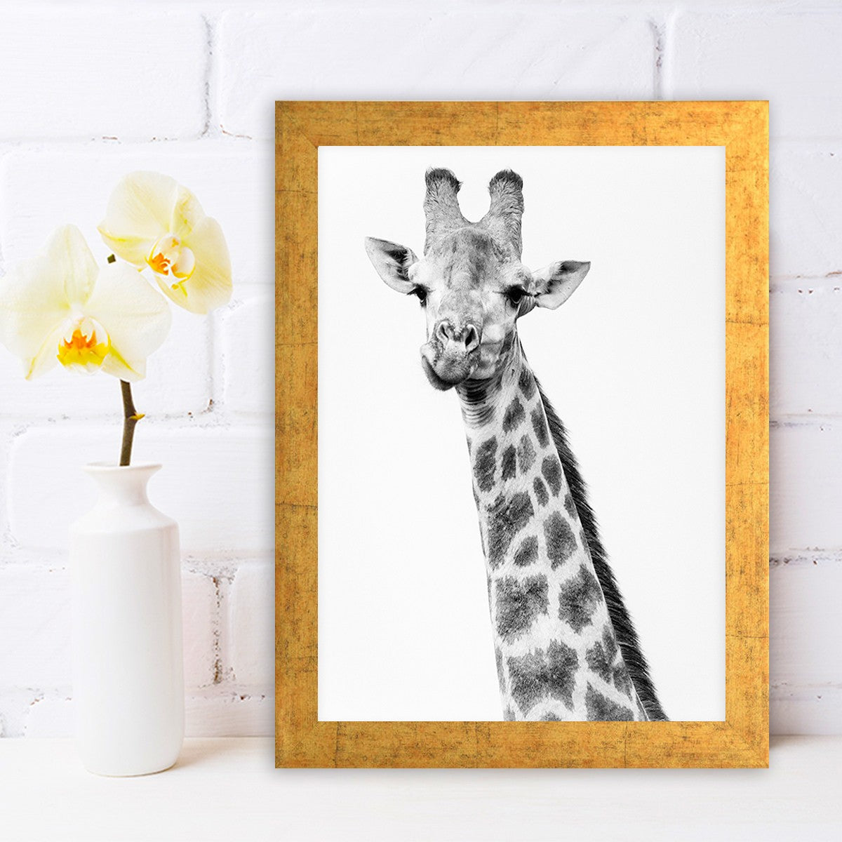 Quadro Decorativo MDF Emoldurado - Arte Multicolor 24x29cm com Moldura de Madeira 2cm