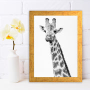 Quadro Decorativo MDF Emoldurado - Arte Multicolor 24x29cm com Moldura de Madeira 2cm