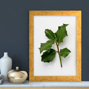 Quadro Decorativo MDF Emoldurado - Arte Multicolor 24x29cm com Moldura de Madeira 2cm