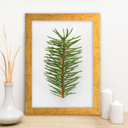 Quadro Decorativo MDF Emoldurado - Arte Multicolor 24x29cm com Moldura de Madeira 2cm