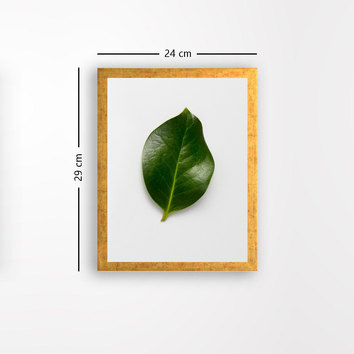 Quadro Decorativo MDF Emoldurado - Arte Multicolor 24x29cm com Moldura de Madeira 2cm