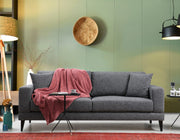 Sofá-cama de 3 lugares, cinza escuro, 210 x 90 x 85 cm | Estrutura em madeira de faia, 100% poliéster, encosto giratório, almofadas portáteis | Elegante e funcional para uma vida moderna