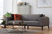 Sofá-cama elegante de 3 lugares, cinza claro, 220 x 84 x 77 cm | Estrutura em madeira de faia, 100% poliéster, mecanismo giratório | Perfeito para espaços modernos