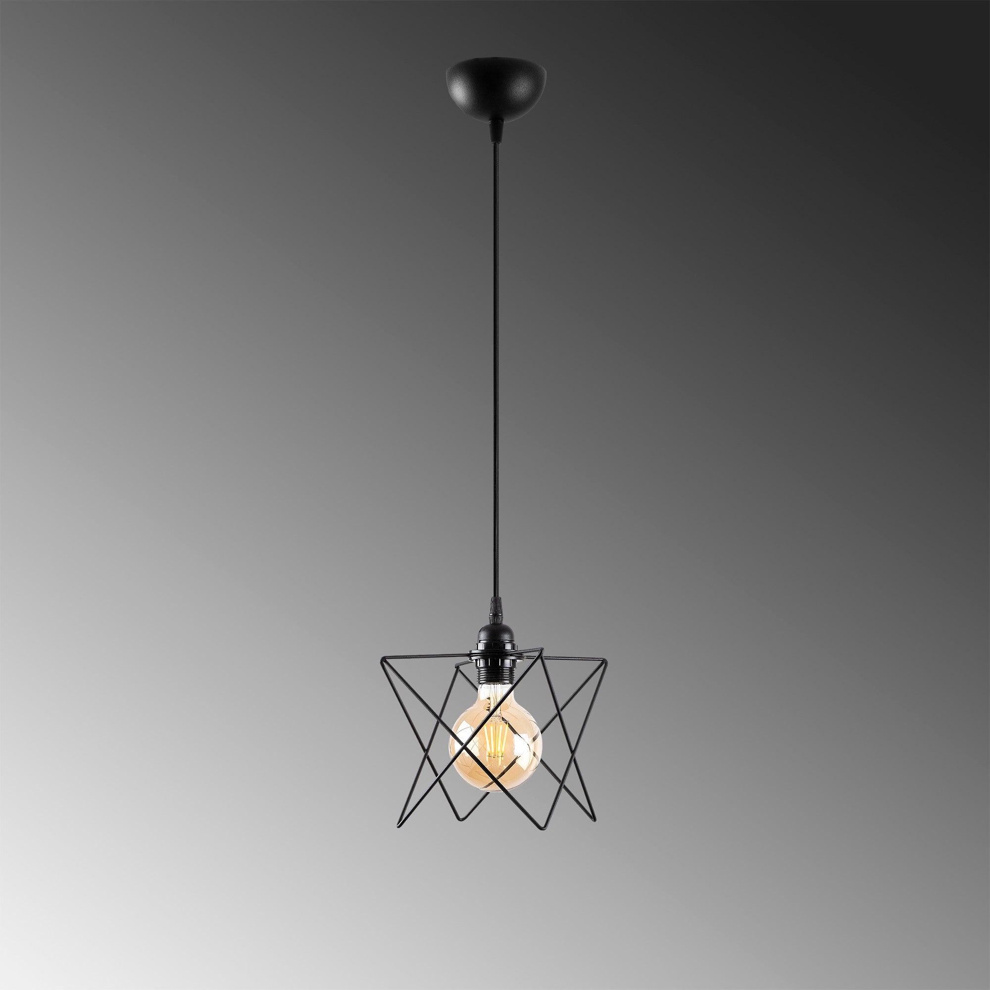Candeeiro de Teto Industrial, Metal Preto, 24 cm de Diâmetro, Altura Ajustável 30-120 cm, Soquete E27 Máx. 40 W, Iluminação Elegante para Espaços Modernos