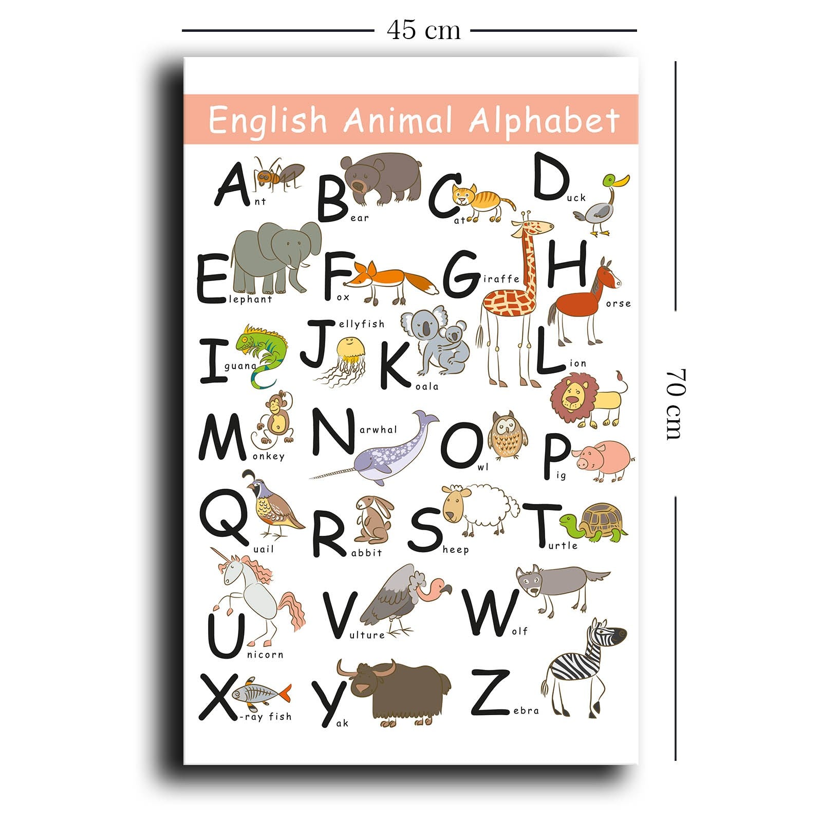 Quadro Decorativo em Tela Multicolor com Moldura de Pinho - 45x70cm Canvas 100%