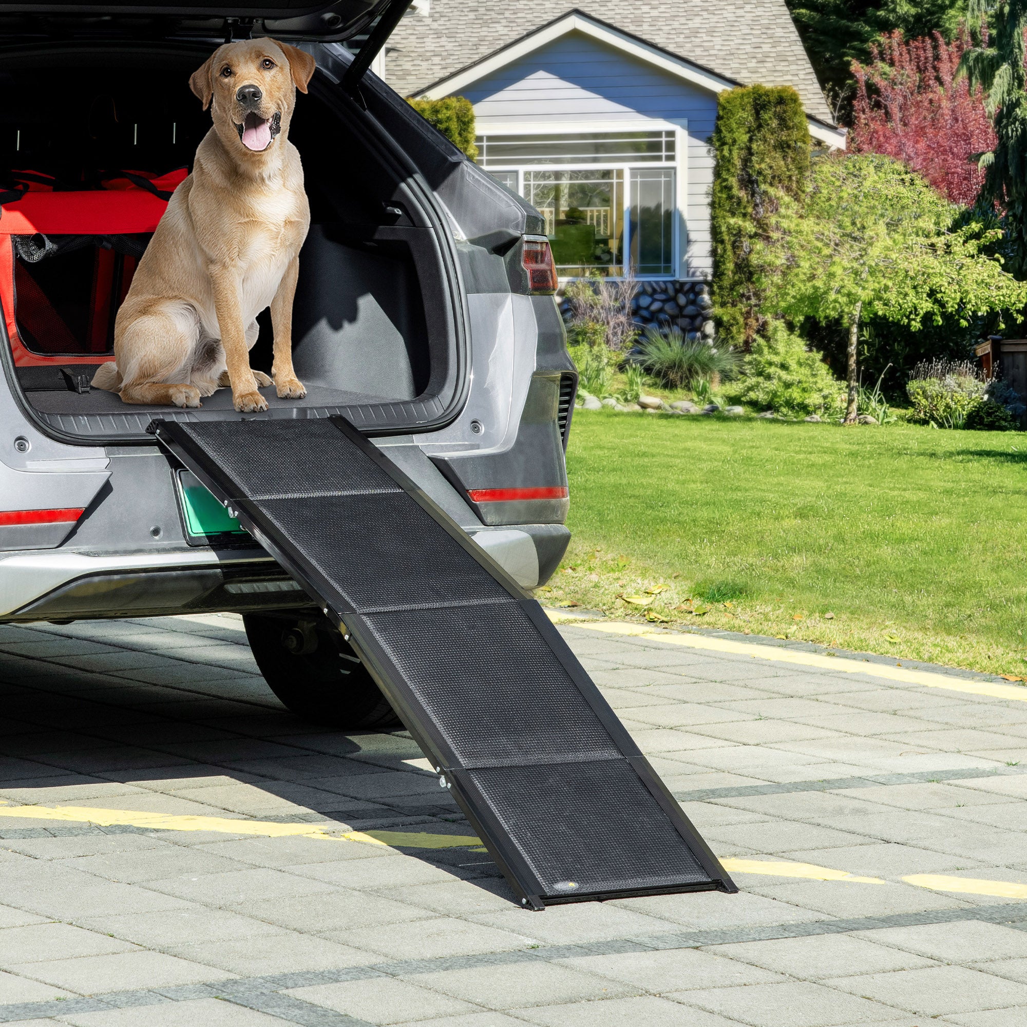 Rampa Dobrável para Cães 158x43,5x2,5 cm Preto