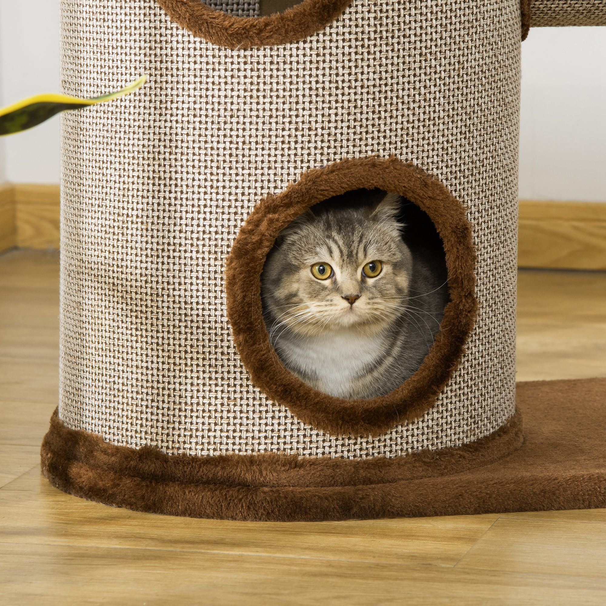Arranhador para Gatos Médios Marrom 75x39x104 cm