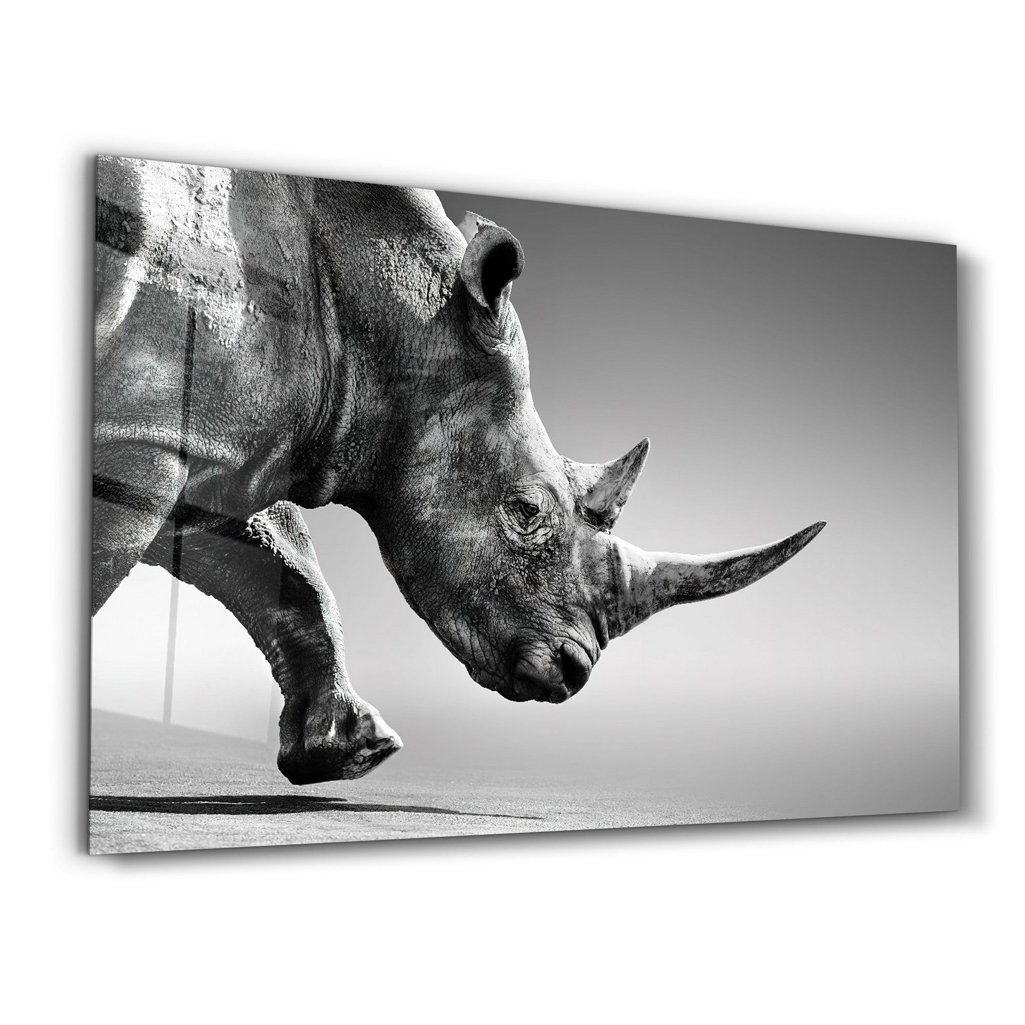 Quadro Decorativo em Vidro Temperado CAM-5049, 35 x 55 cm, Multicolor, Impressão UV, 4 mm