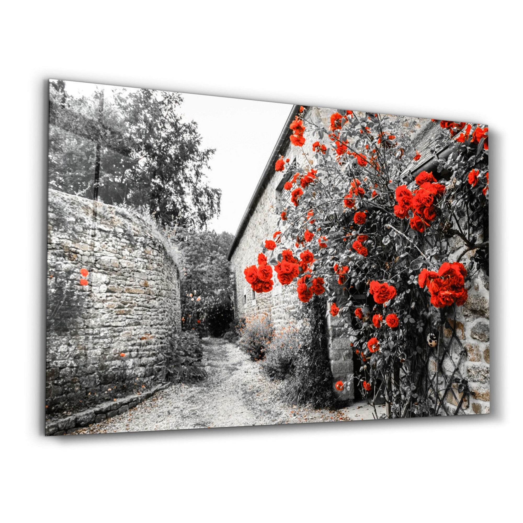 Arte Decorativa em Vidro Temperado Multicolor 35x55cm - Impressão UV de Alta Qualidade