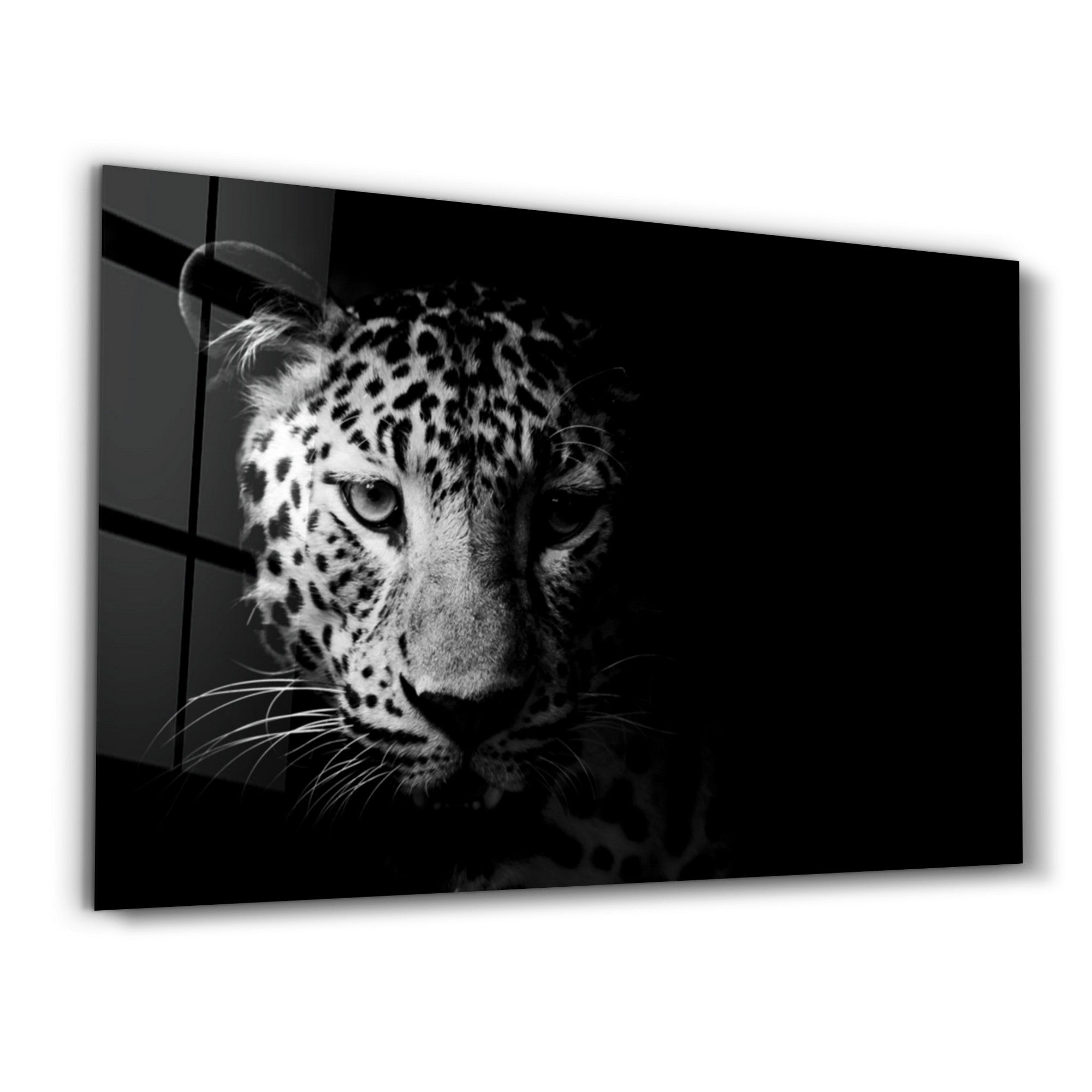 Arte Decorativa em Vidro Temperado Multicolor 35x55cm - Impressão UV de Alta Qualidade