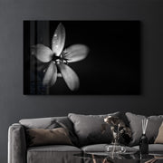 Arte Decorativa em Vidro Temperado Multicolor 35x55cm - Impressão UV de Alta Qualidade