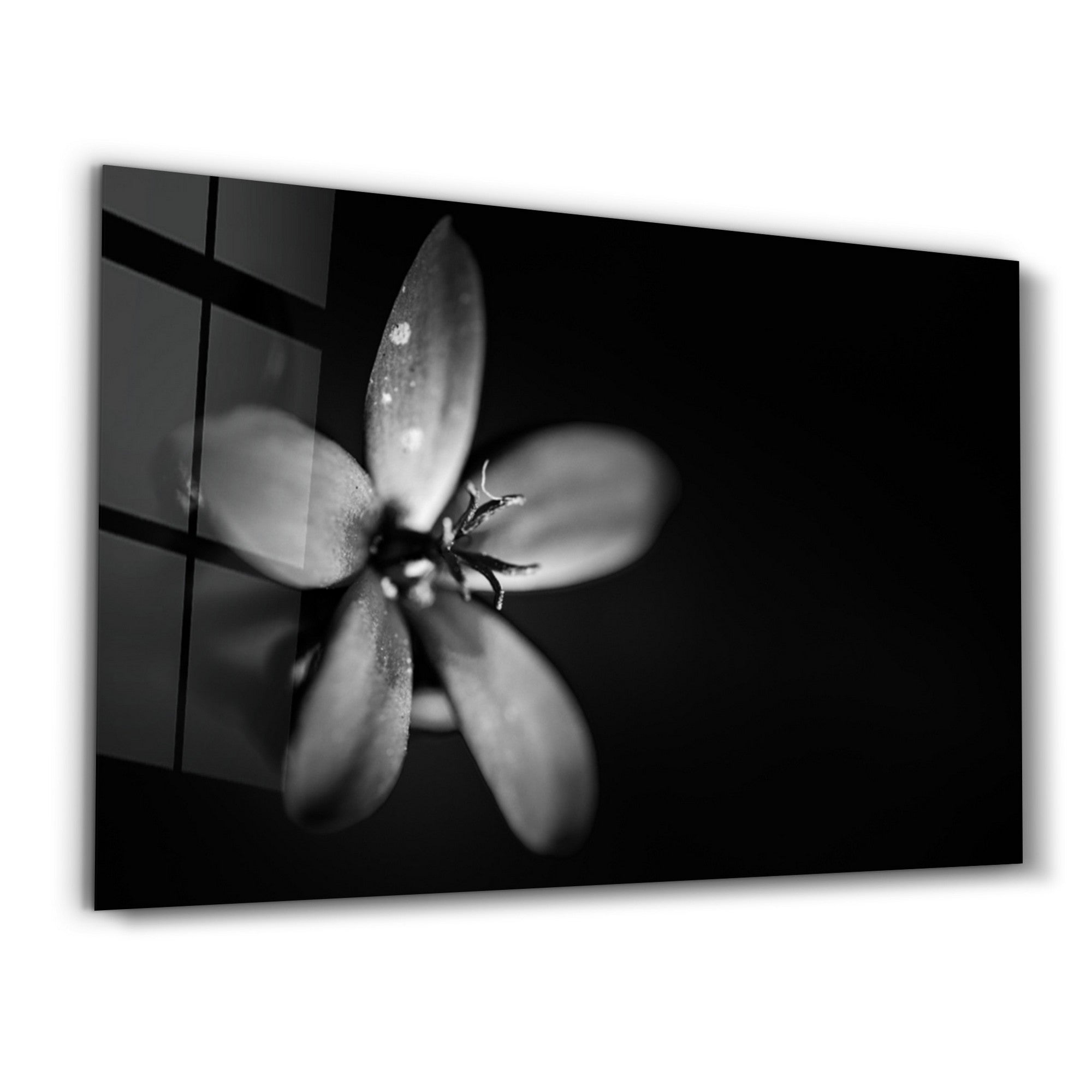 Arte Decorativa em Vidro Temperado Multicolor 35x55cm - Impressão UV de Alta Qualidade