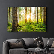 Arte Decorativa em Vidro Temperado Multicolor 35x55cm - Impressão UV de Alta Qualidade