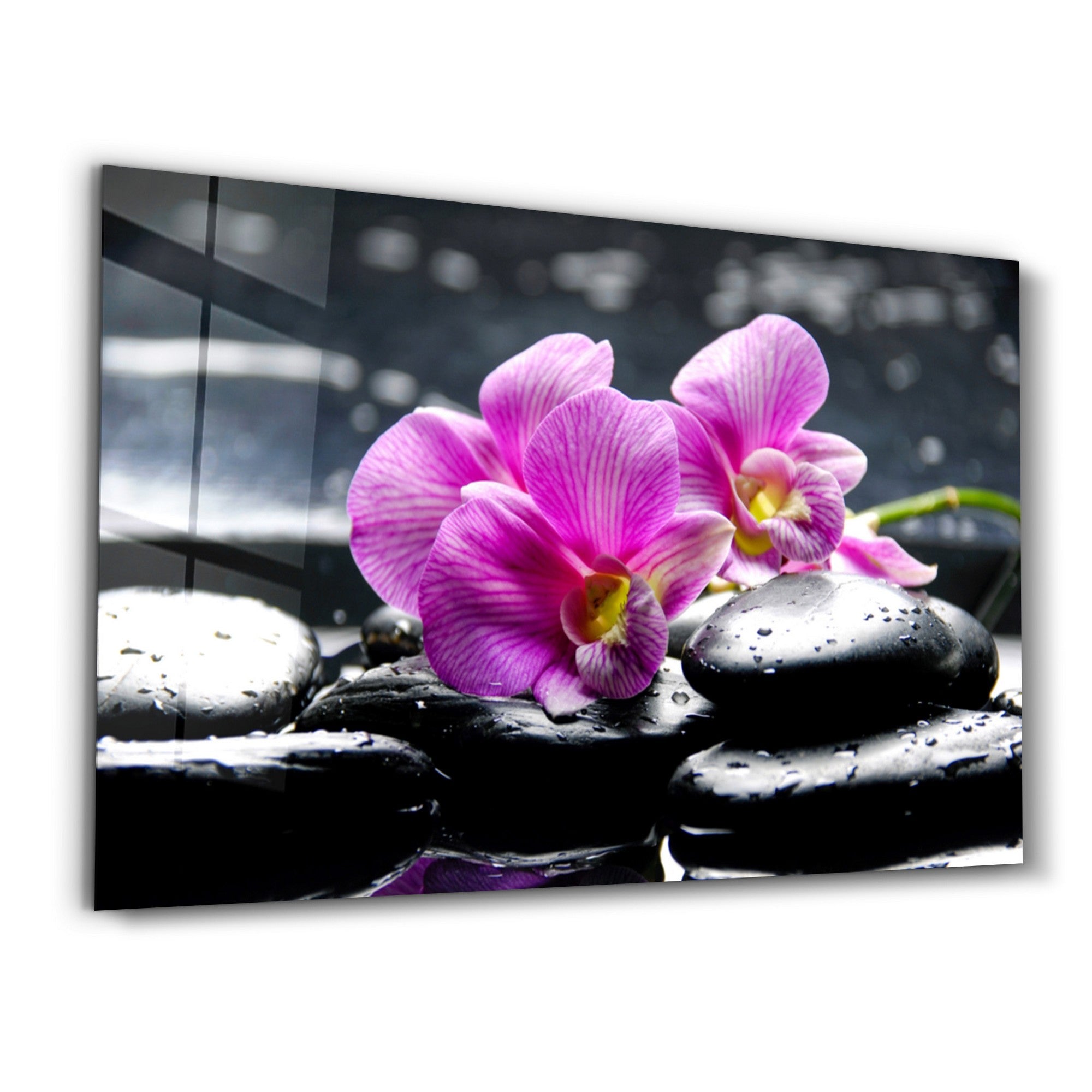 Arte Decorativa em Vidro Temperado Multicolor 35x55cm - Impressão UV de Alta Qualidade