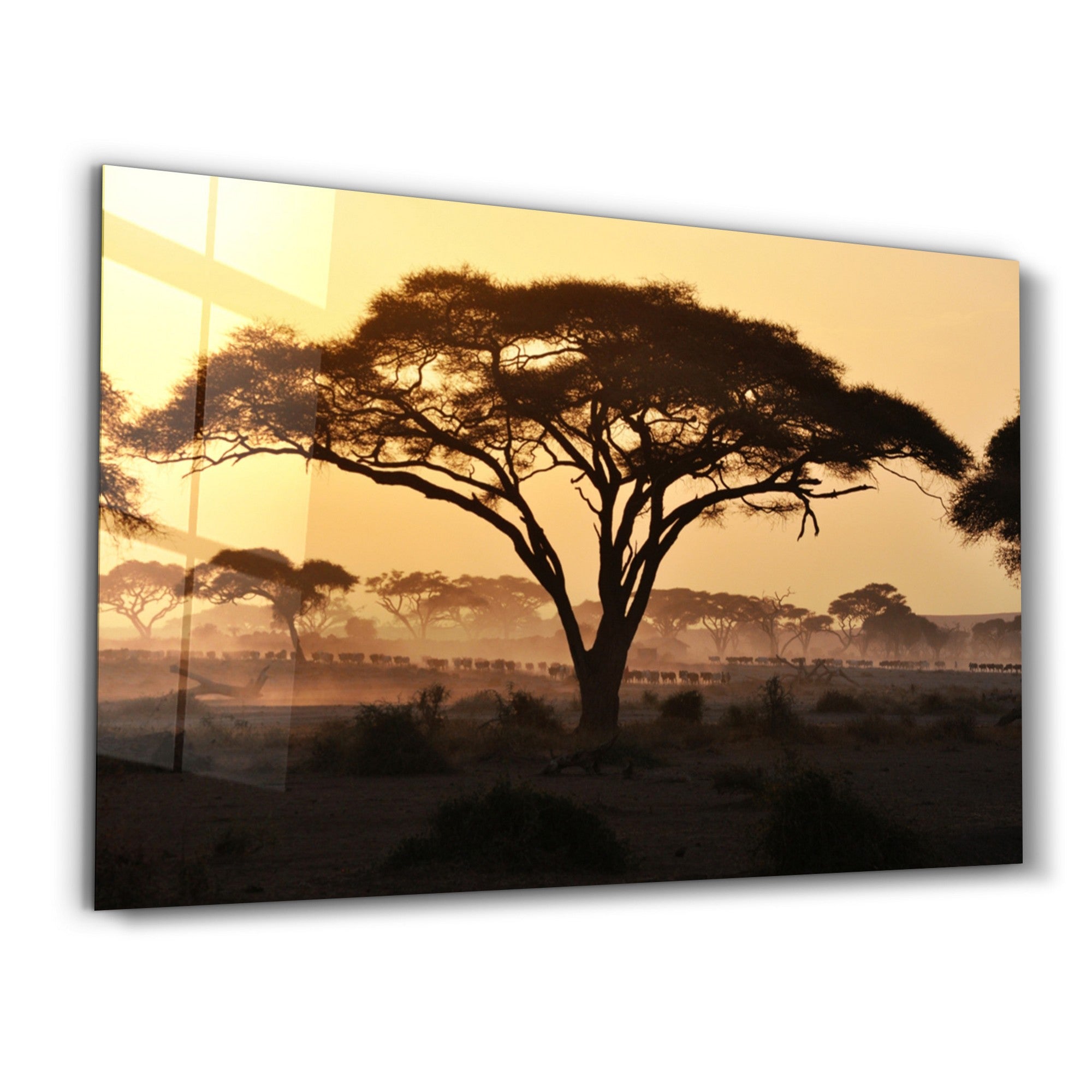 Arte Decorativa em Vidro Temperado Multicolor 35x55cm - Impressão UV de Alta Qualidade