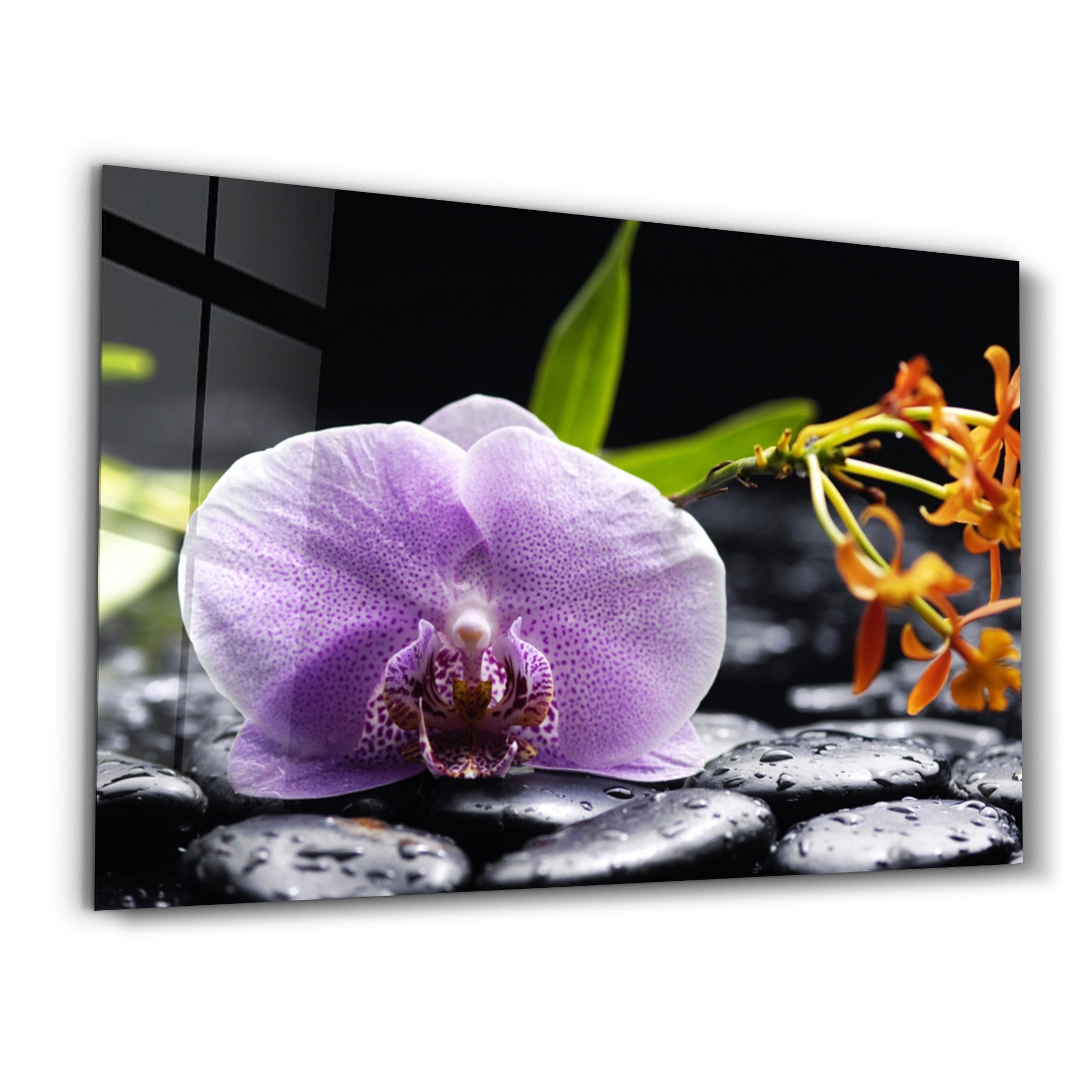 Arte Decorativa em Vidro Temperado Multicolor 46x72cm - Impressão UV de Alta Qualidade