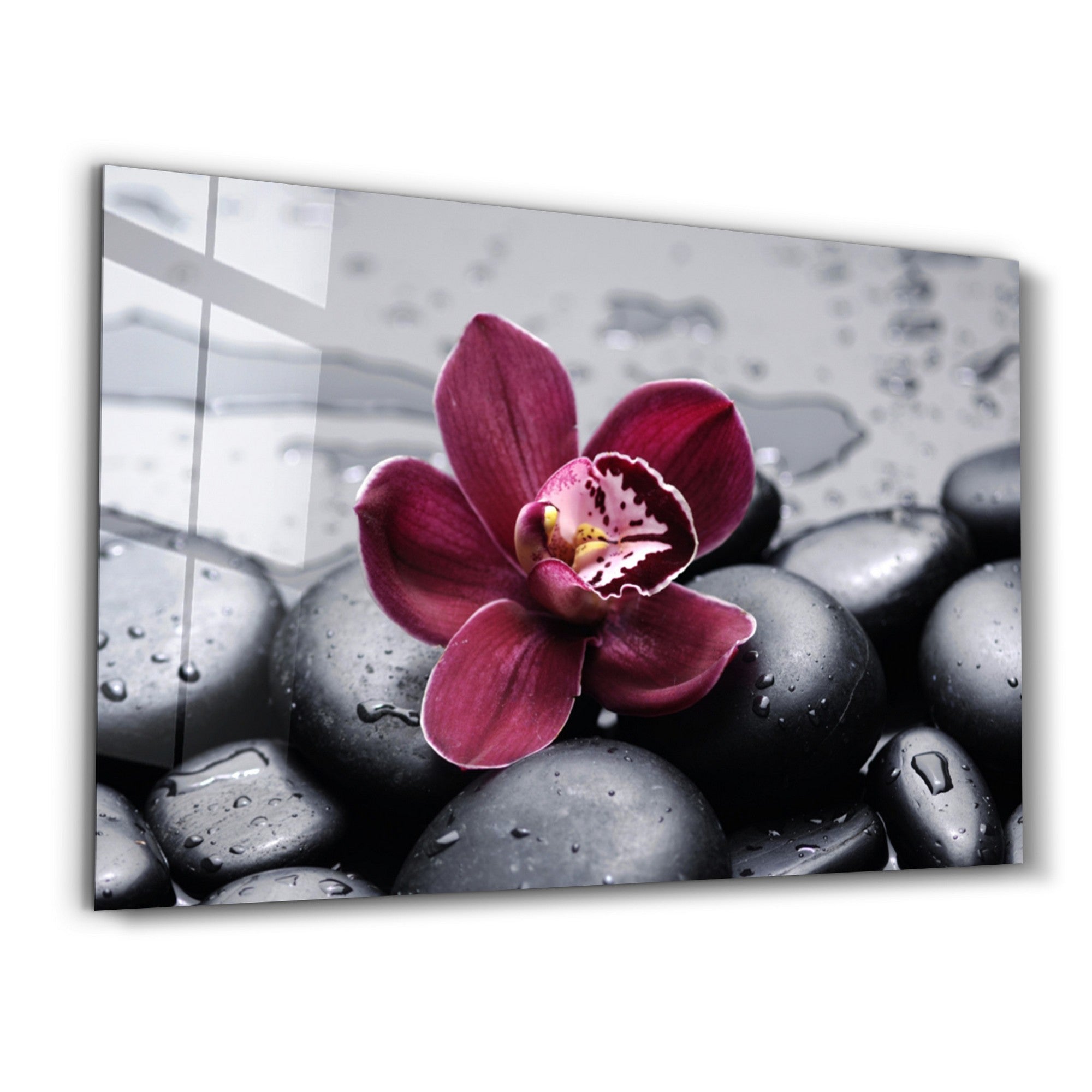 Arte Decorativa em Vidro Temperado Multicolor 35x55cm - Impressão UV de Alta Qualidade