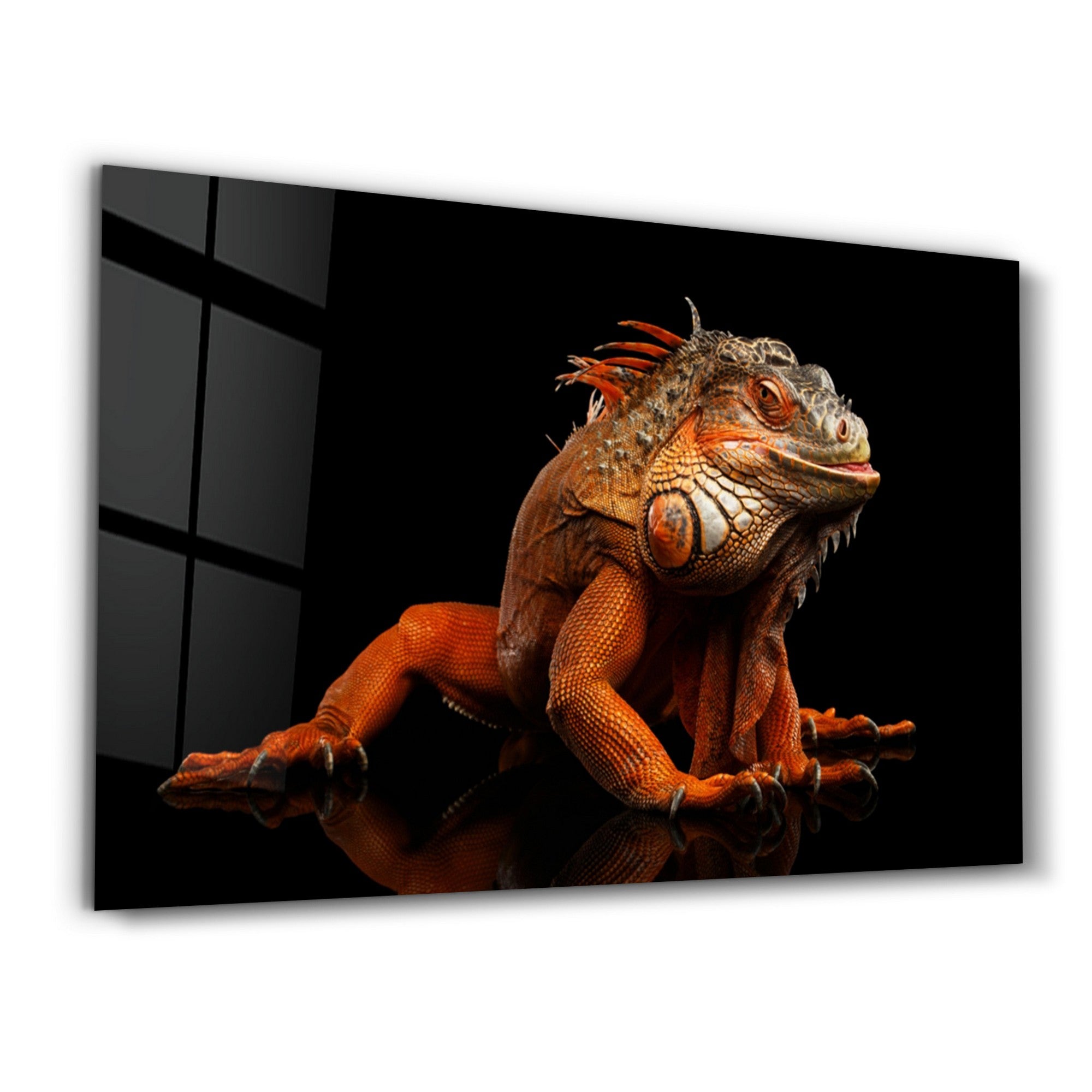 Arte Decorativa em Vidro Temperado Multicolor 35x55cm - Impressão UV de Alta Qualidade